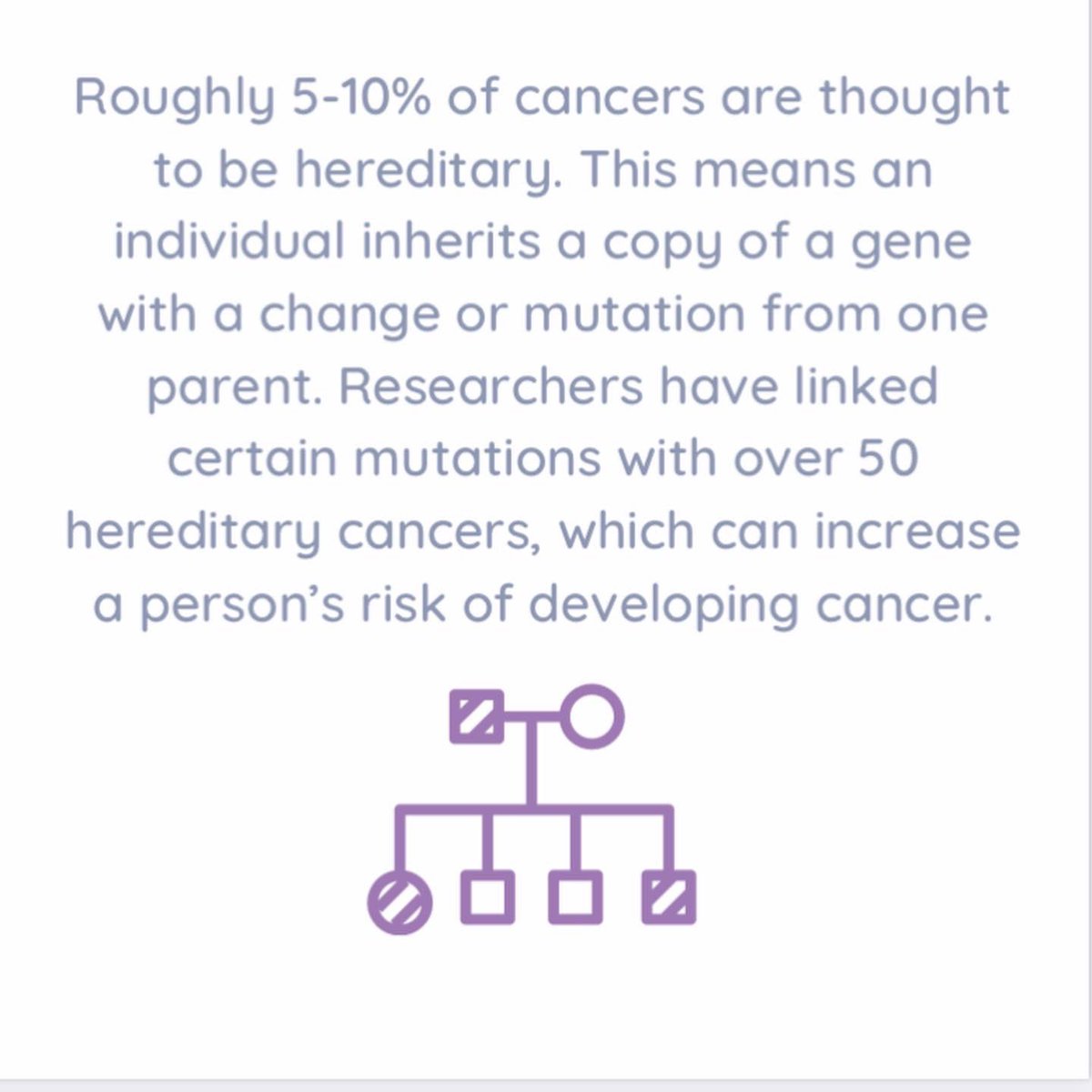 Grey Genetics tweet media