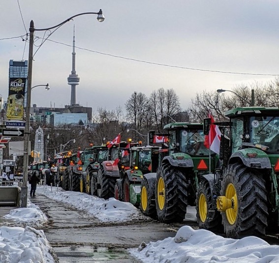 randyhillier's tweet image. The view this afternoon downtown Toronto. Farmers are uniting in support of the Truckers. Tomorrow morning, we&apos;re bringing them to Ottawa! Wave after wave, week after week, we&apos;re not leaving until we&apos;re a free country again. #FreedomConvoy2022 #NoMoreLockdowns #cdnpoli #onpoli