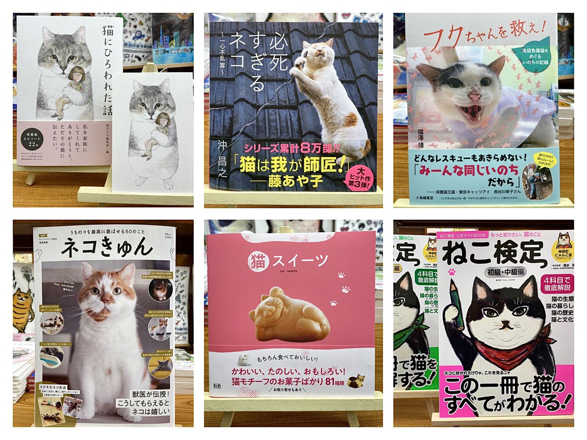 税込 ネコちゃん様専用 asakusa.sub.jp 税込 ネコちゃん様専用 asakusa.sub.jp