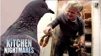 GORDON RAMSAY Shouts at Eggplant Fried Chicken Stuck to the Sink! https://t.co/nqMnxGWKyk
