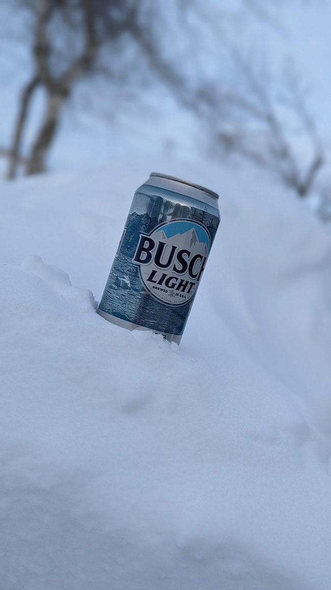 stevesample76's tweet image. Look at this glorious @BuschBeer enjoying the view before fulfilling it's destiny #MountainOfBusch  #Sweepstakes