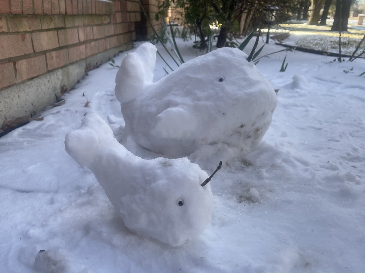MusicAndXC4Life's tweet photo. I have had the opportunity to remake Hornsby IV from last night year. With this years snow I have also brought to life his son, Hornsby V. Welcome to the world by sons. May you bring smiles to all who see you🐳 https://t.co/YAo16Uelj2