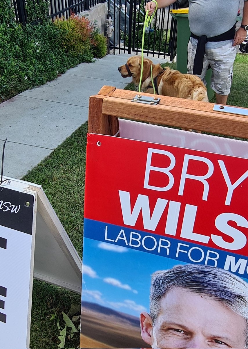 _outRAGEjess's tweet photo. Dogs of polling stations!! 🗳️🐕
#votelabor #nswpol #nswvotes #dogs #dogsofpollingstations https://t.co/NQnZ8KD5cR