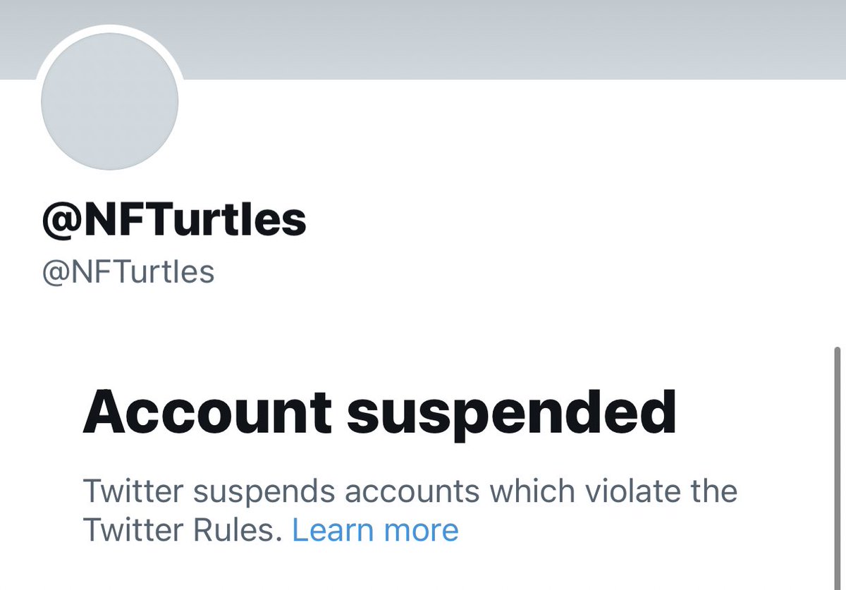 NFTurtles 🐢 tweet media