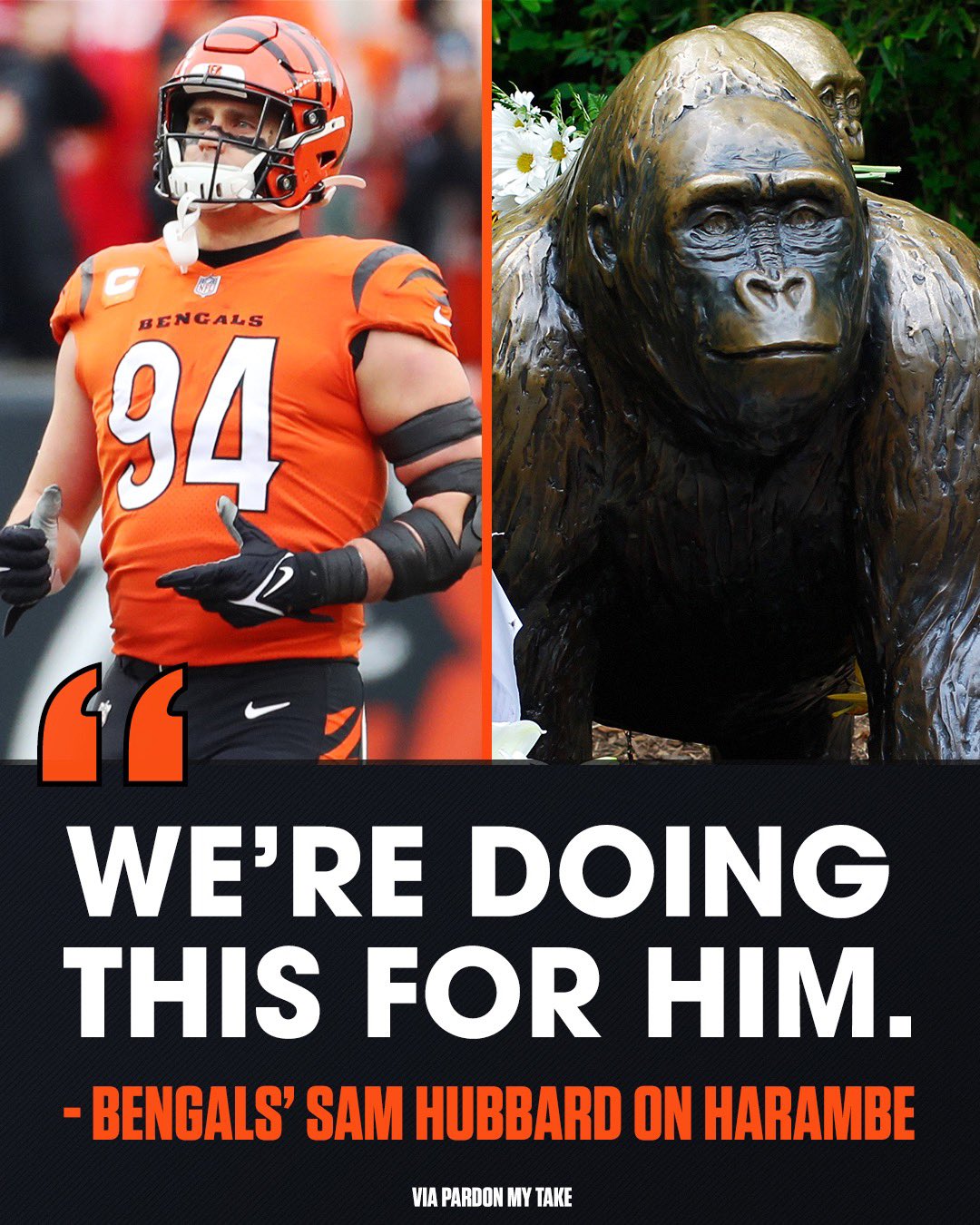 Sunday Night Football on NBC on X Cincinnati DE Sam Hubbard says the team wants to win the SuperBowl for Harambe. RuleTheJungle https t 7WNPT7iD6F X