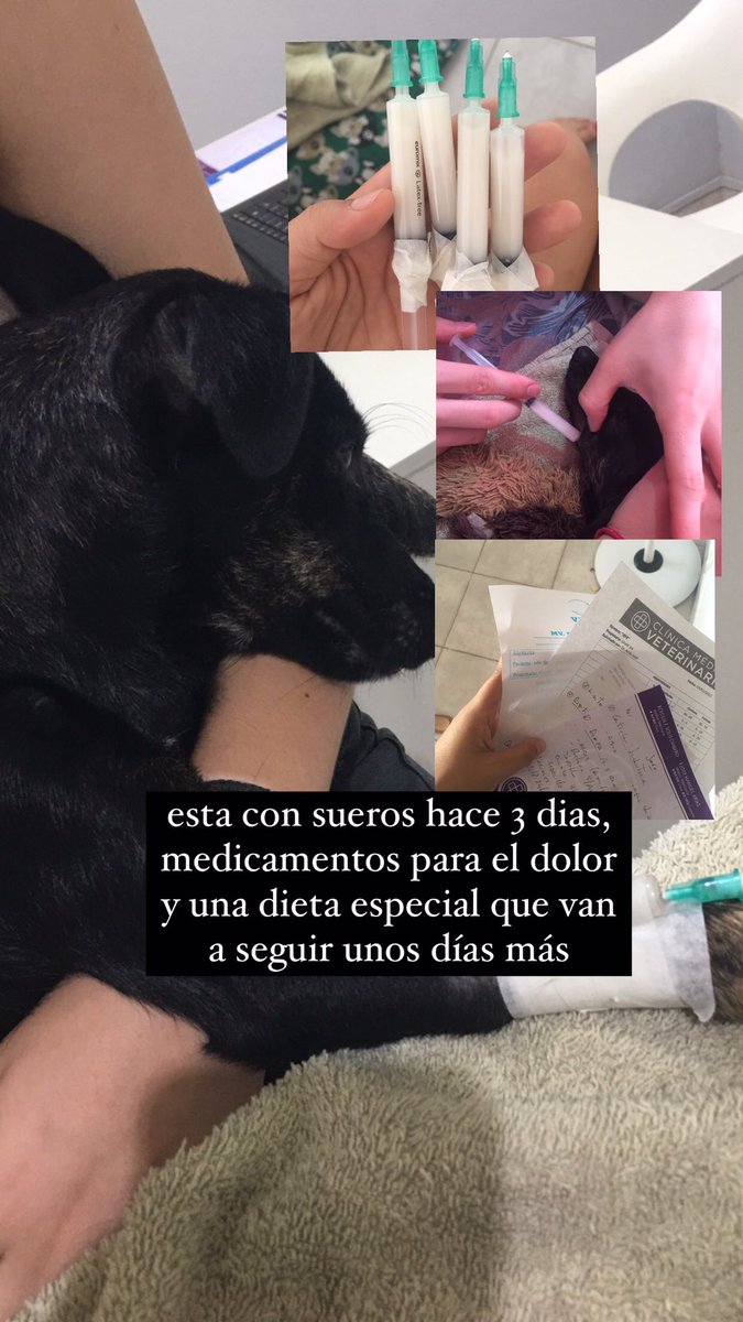 uruttiiiii's tweet photo. lo subo aca tambien porque ya no se q hacer https://t.co/uzQNGSxGF9
