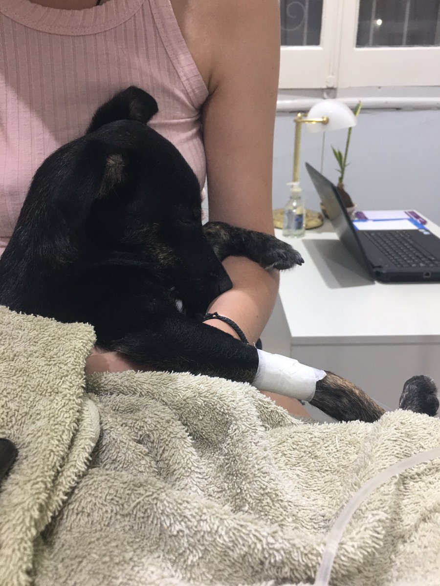 uruttiiiii's tweet photo. lo subo aca tambien porque ya no se q hacer https://t.co/uzQNGSxGF9