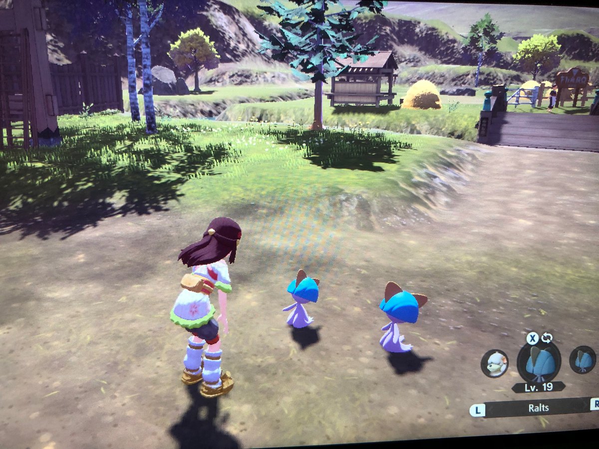 StrivingSol's tweet photo. In the past 30 minutes, I had found: A messed up Braviary in the sky, a Ralts outbreak, and TWO shiny Ralts in said outbreak (one when I first found the outbreak, and the other after I caught a few normal Ralts.

The two Ralts are both male, but I plan for one to be a Gallade https://t.co/MaypDvx0yT