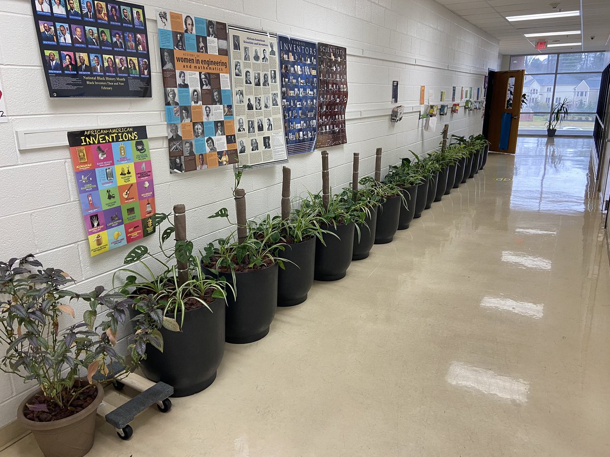 Mustangs Wrestling tweet media