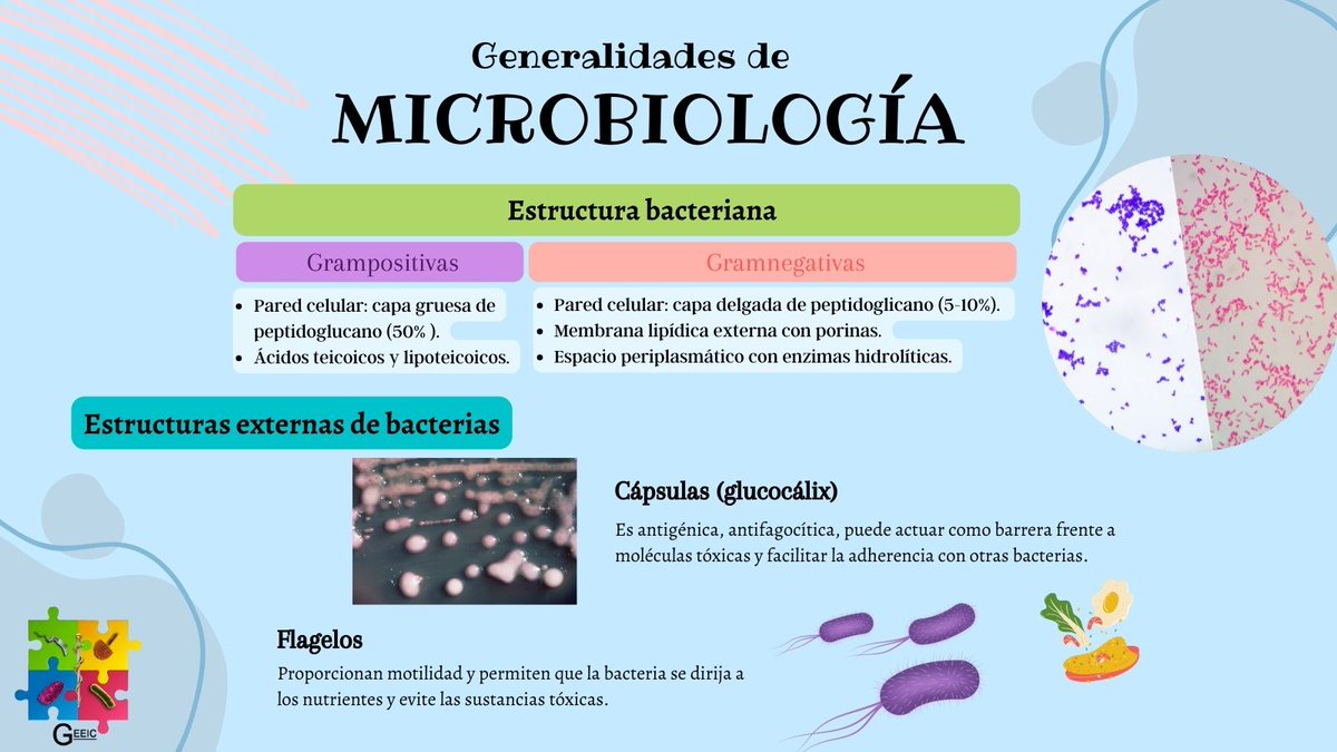 GEEIC_cede's tweet photo. 📢Empieza bien tu semestre conociendo un poco  sobre microbiología y sus generalidades✨🔍 Guarda las imágenes para que te sean útil en el futuro🧐🧐 #GEEIC
#EsImportanteSaberGEEIC
#MicroRepasoGEEIC https://t.co/QS9ftdiZt0