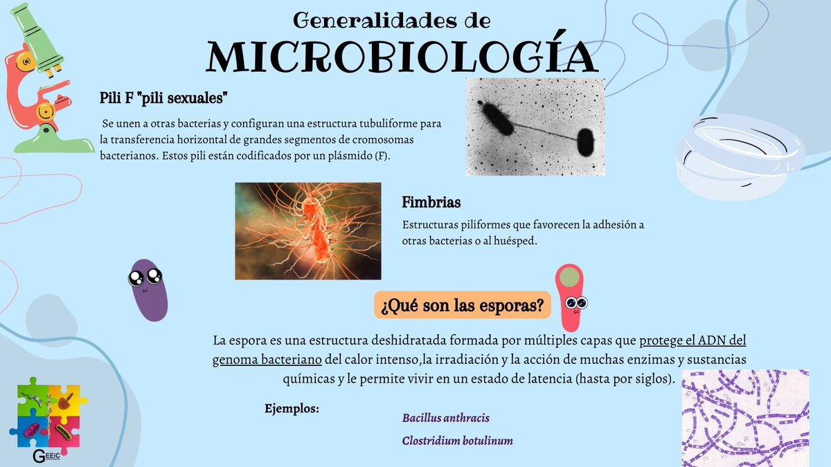 GEEIC_cede's tweet photo. 📢Empieza bien tu semestre conociendo un poco  sobre microbiología y sus generalidades✨🔍 Guarda las imágenes para que te sean útil en el futuro🧐🧐 #GEEIC
#EsImportanteSaberGEEIC
#MicroRepasoGEEIC https://t.co/QS9ftdiZt0