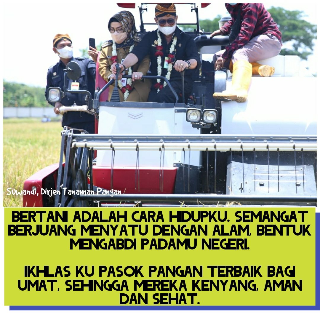 swandi33's tweet photo. Edisi kata bijak 5 Feb 2022: Bertani Adalah Cara Hidup https://t.co/Hi0r9Y1LVl