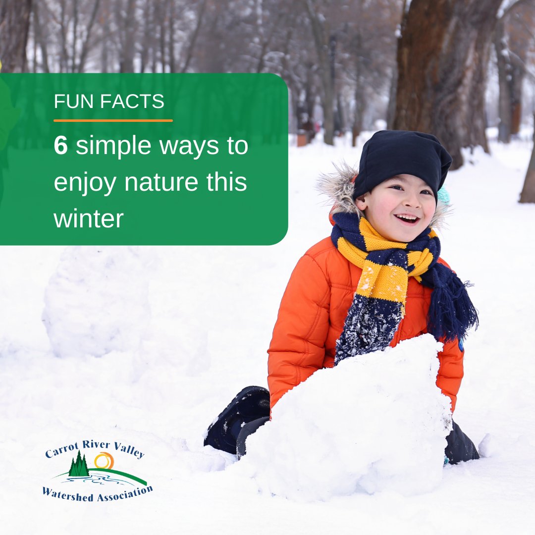 A friendly reminder to enjoy the outdoors even in the winter! Here are 6 winter fun ideas…build a fort, go snowshoeing, have a winter campfire, make a snowcone, go ice-fishing, donate to a coat drive!
#Saskatchewan #Winter #WinterWonderland