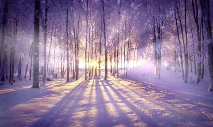 "The road" #Russia #nadeeavolianova #badbarbie #art https://t.co/nzILMj3BoX<a href="/tag/russia"class="tags">#Russia</a><a href="/tag/nadeeavolianova"class="tags">#nadeeavolianova</a><a href="/tag/badbarbie"class="tags">#badbarbie</a><a href="/tag/art"class="tags"><span>#art</span></a>