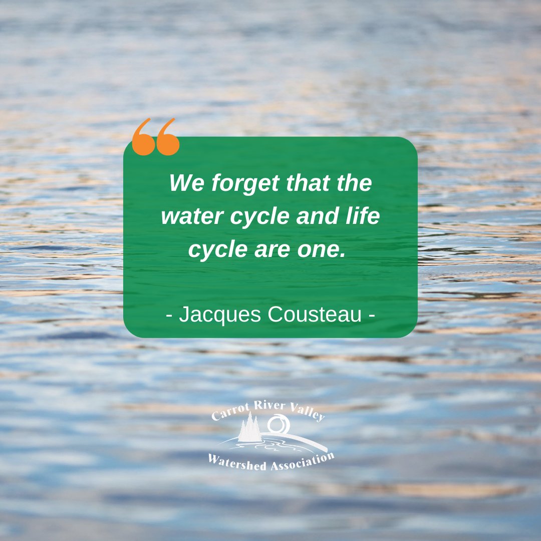 Water is essential to life on Earth. 🌎 Remember to not take it for granted. #Watershed #WaterIsLife
