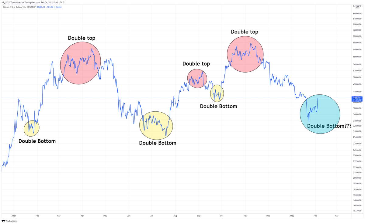 MAD MAXi. 🇵🇸🕊️ tweet media