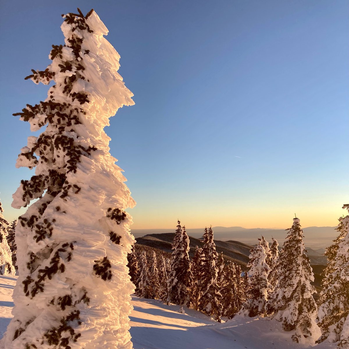 From Ski Santa Fe #skibueno #santafe