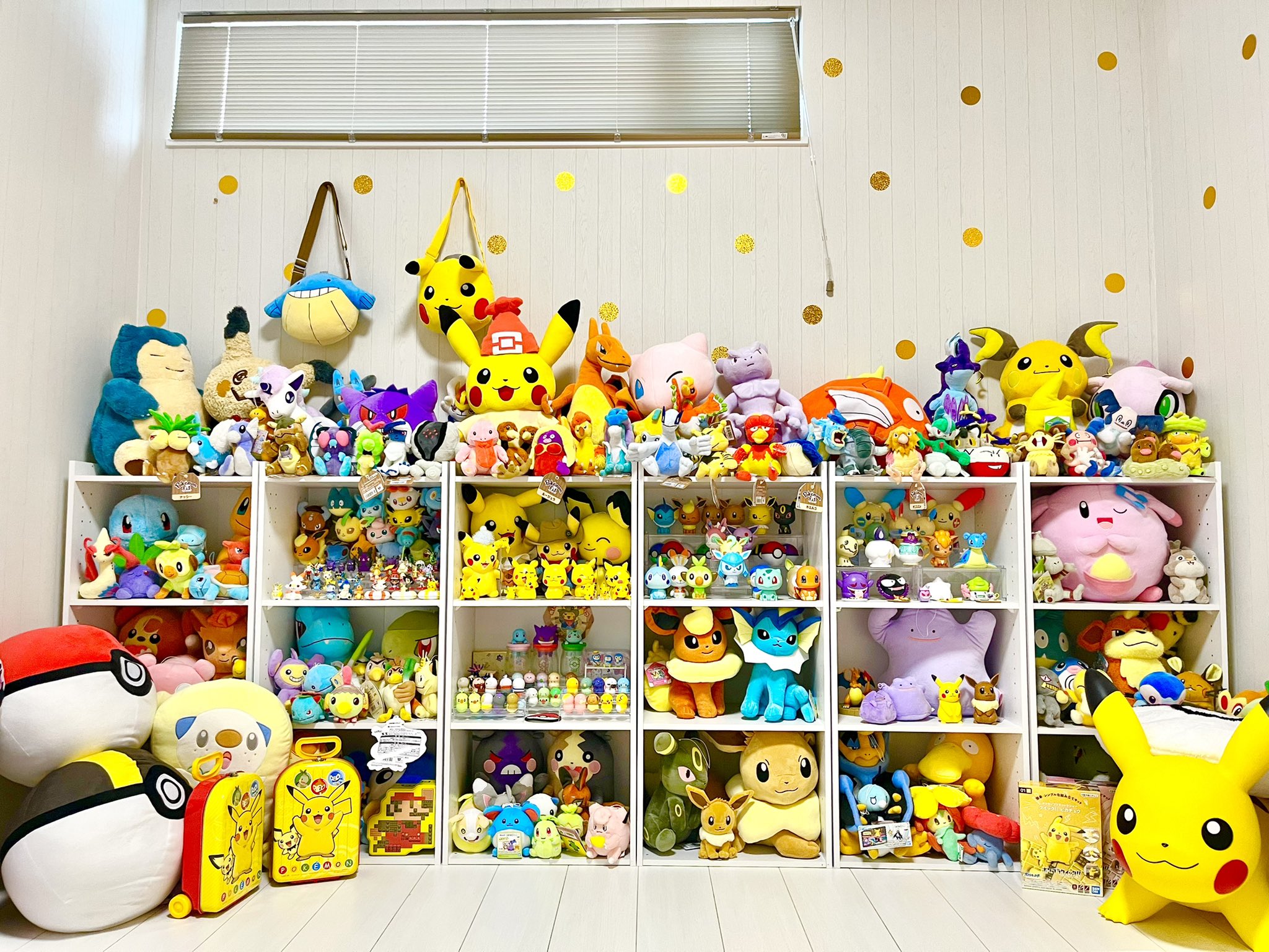 ランキング ポケモン ポケモンセンター ピカピカボックス ぬいぐるみ ポケモンfit ポケットモンスター