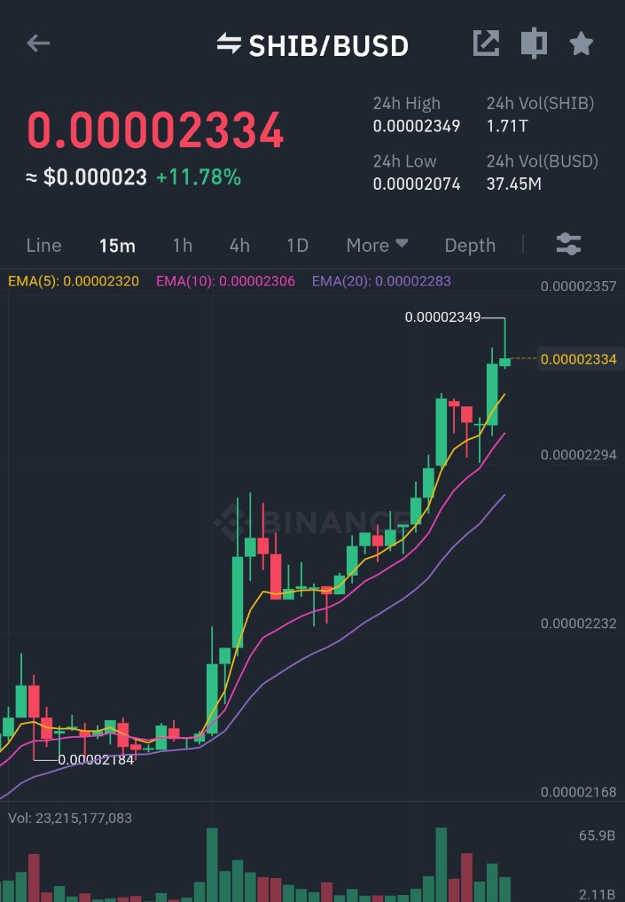 ShibaInuHodler's tweet photo. Nice PUMP!!💯🚀 https://t.co/0FcMqtBYVr