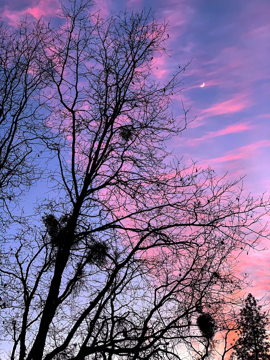 rodolfotografo's tweet photo. Feliz Sábado / Happy Sabbath / Shalom Shabbat 
#HappySabbath #FelizSabado #ShalomShabbat #Shabbas #sunset #Photography https://t.co/GUuyN4hKCz