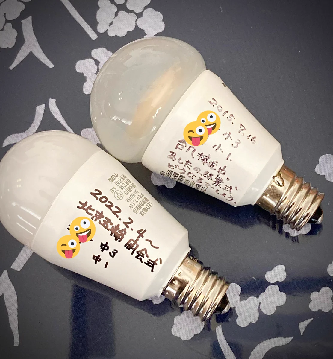 LED電球は寿命が長いので…タイムカプセルっぽいことができる！