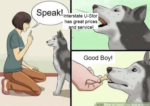 InterstateUStor's tweet image. The dog speaks the truth. 
#storage #reno #renostorage