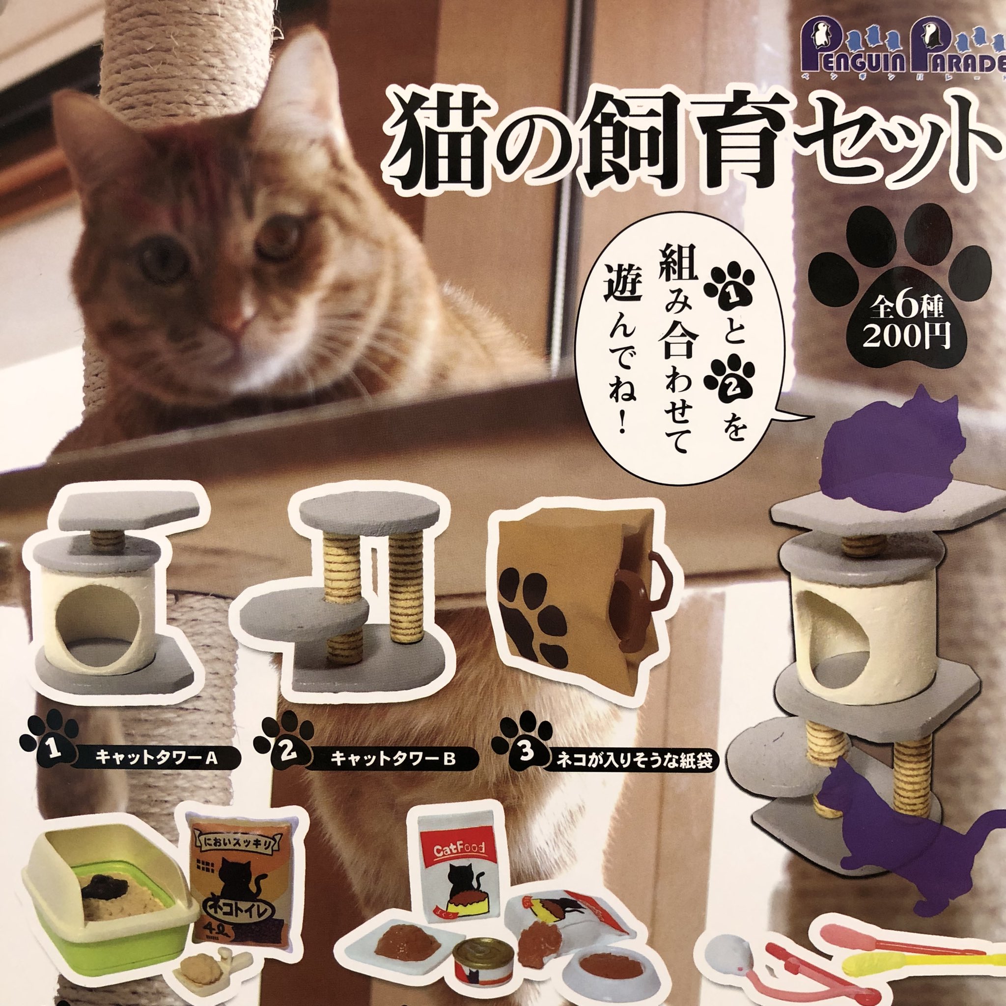 猫の飼育セット Twitter Search Twitter