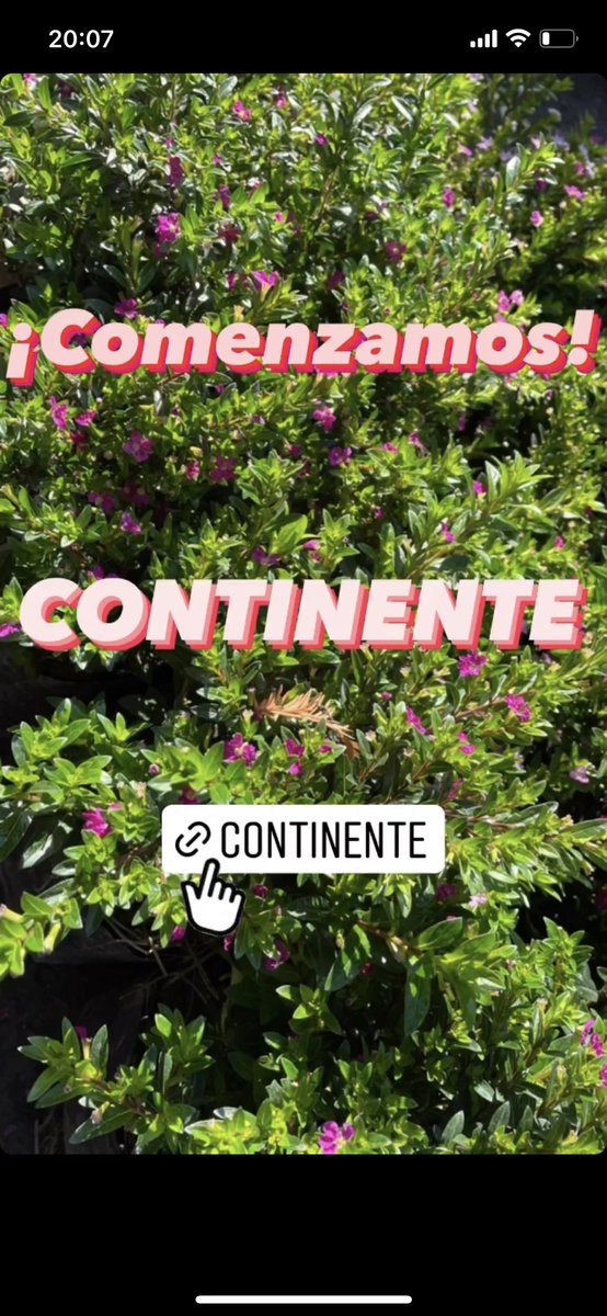 Radio_Bombay's tweet photo. Hoy regresa CONTINENTE (@_ALEJ__) a la programación. 

¡Entren yaaa! https://t.co/oluWPx4Yao https://t.co/KRabcn1aQ2