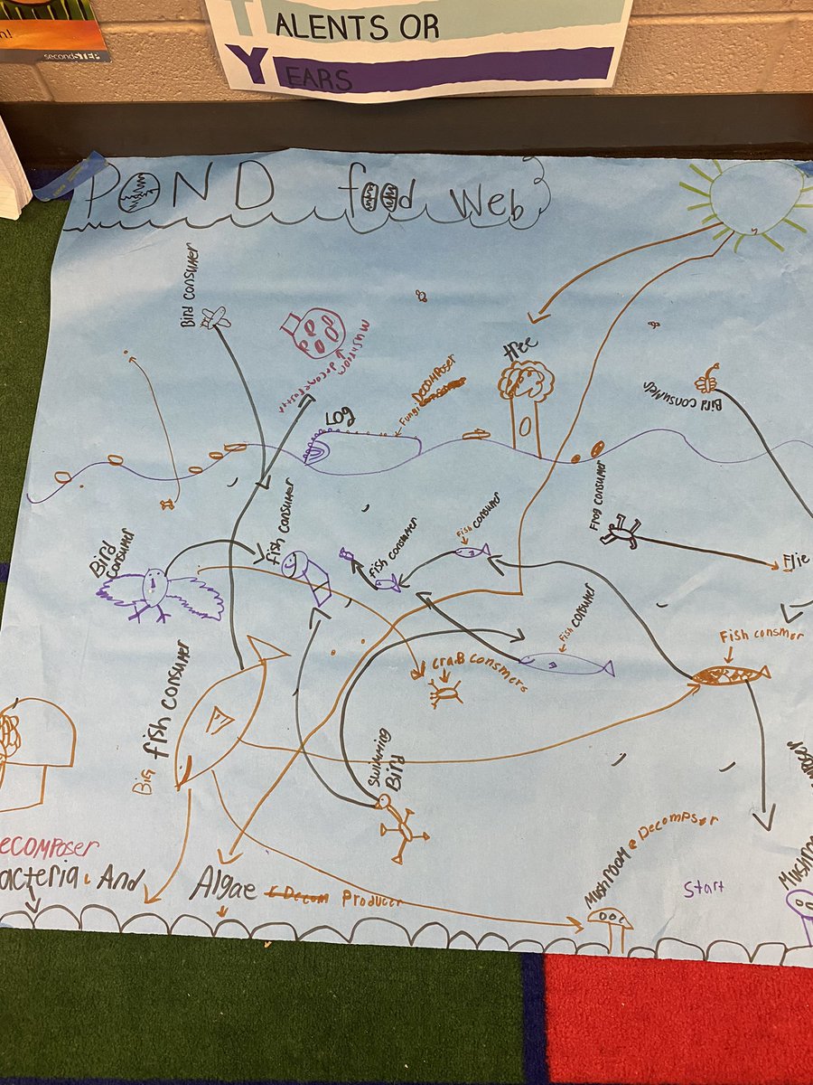 bjonesteaches's tweet photo. Coding @Sphero bots for Ecosystem Food Webs! @MabletonES @TeamGrizzle2006 @STEMcobb #ultimatelearningexperience https://t.co/e38eTUDYkZ