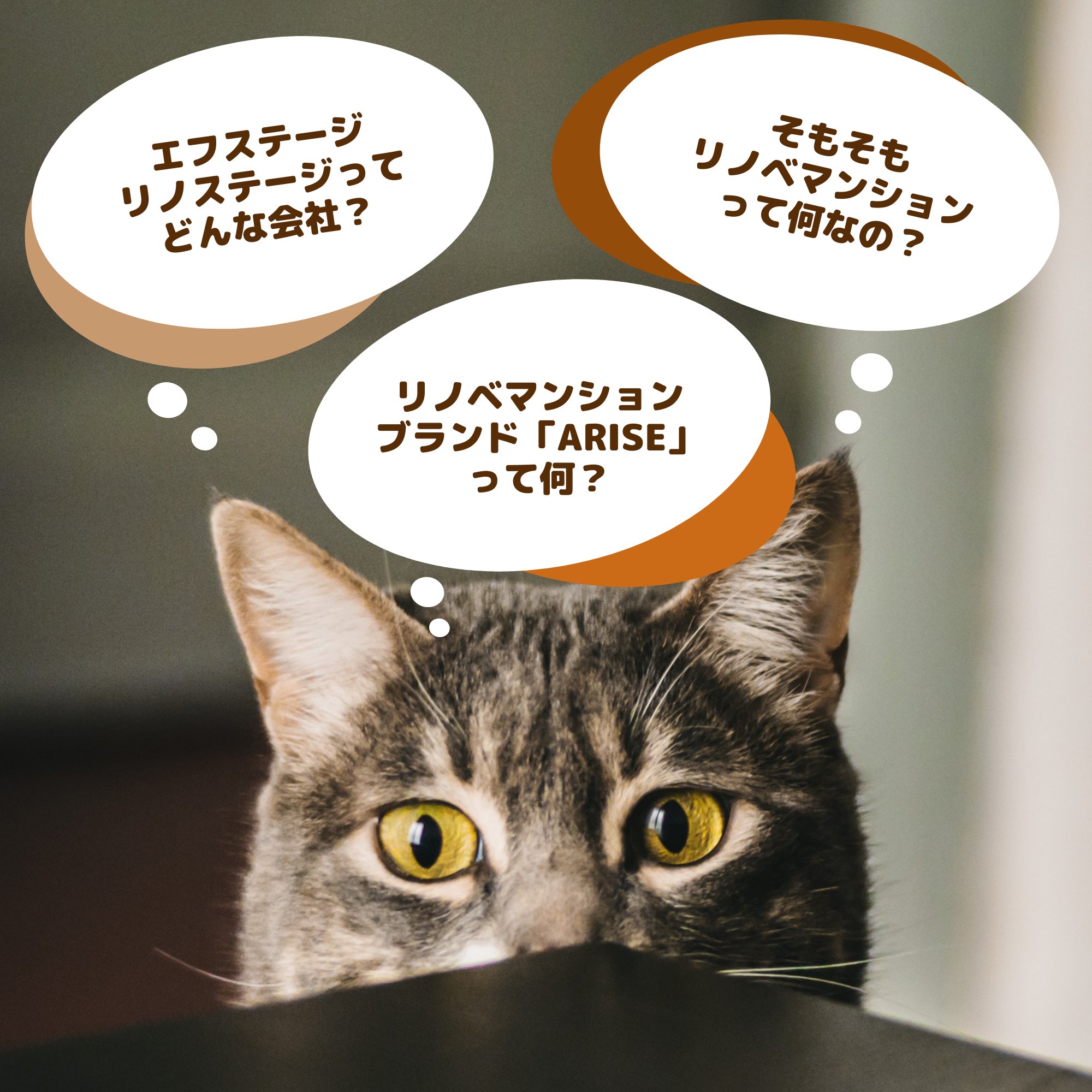 エフステージ リノステージ 公式 Fstage Group Twitter