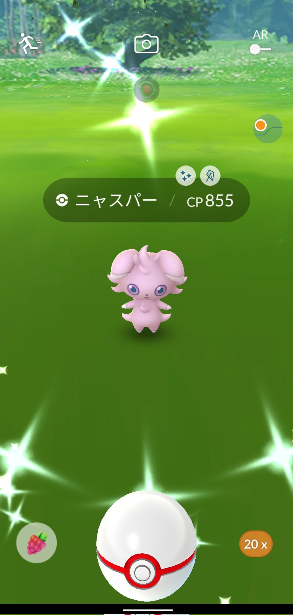 色違いニャスパー Twitter Search Twitter