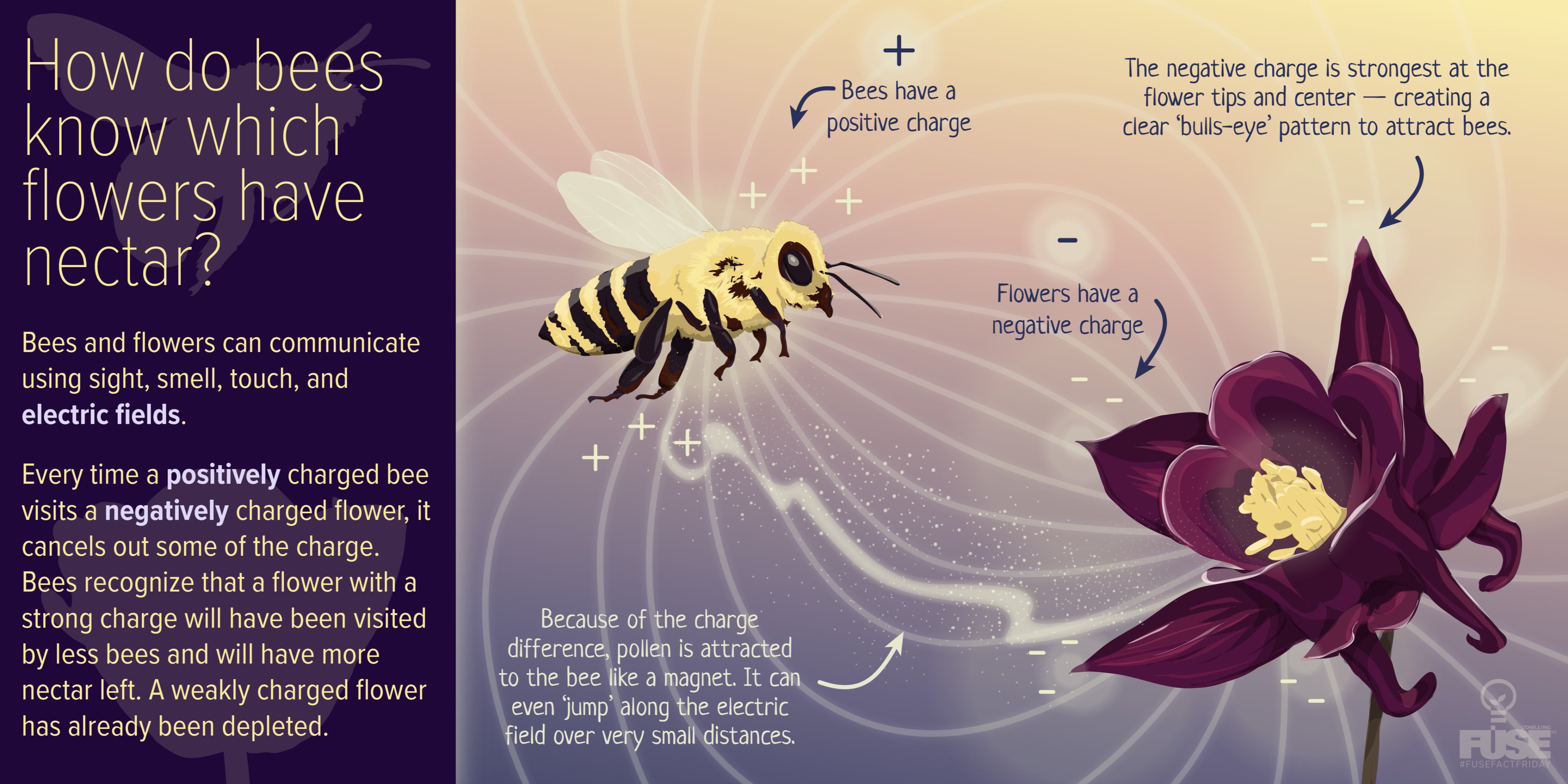 How Bees Communicate