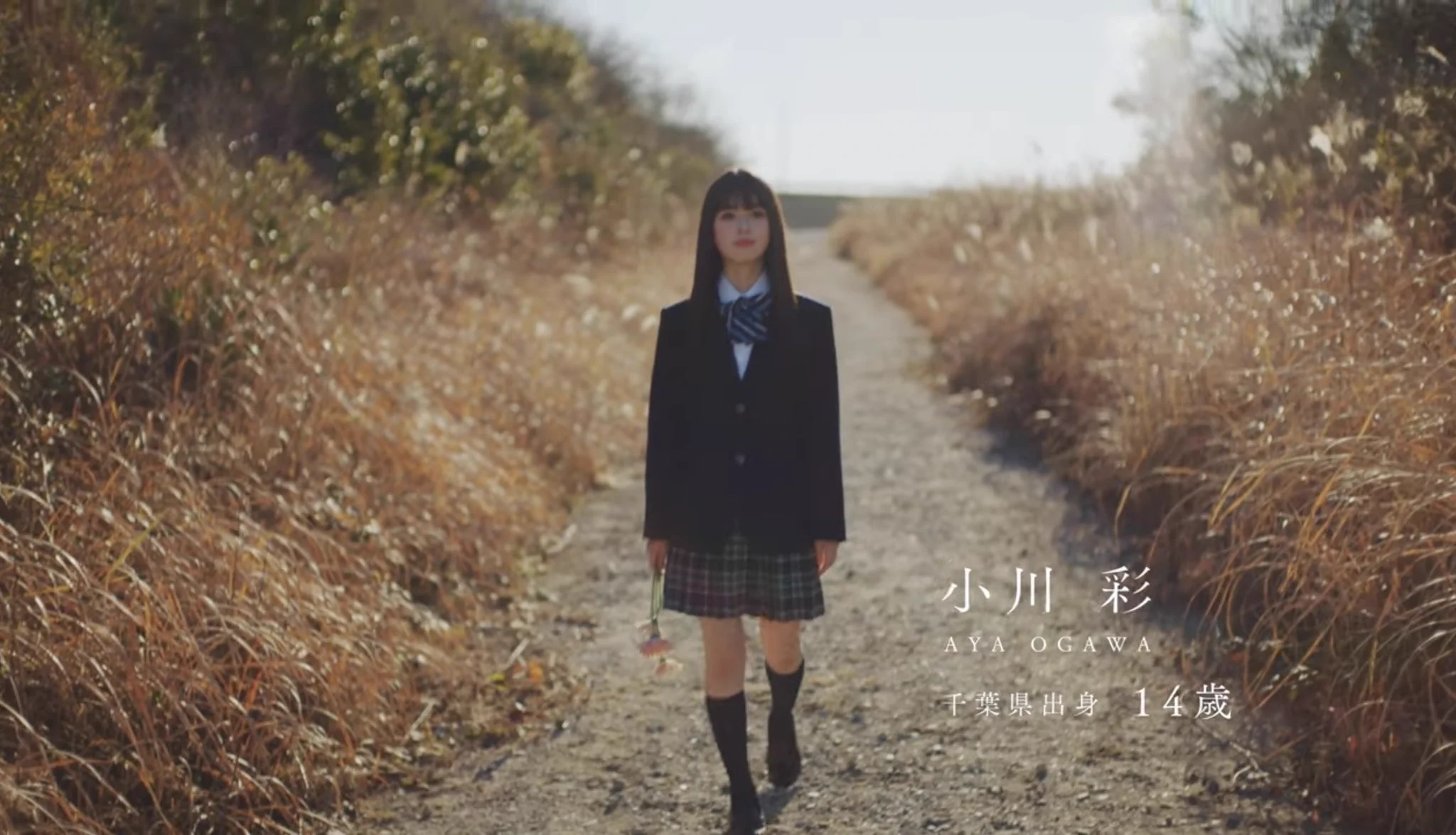 乃木坂46 on X: 