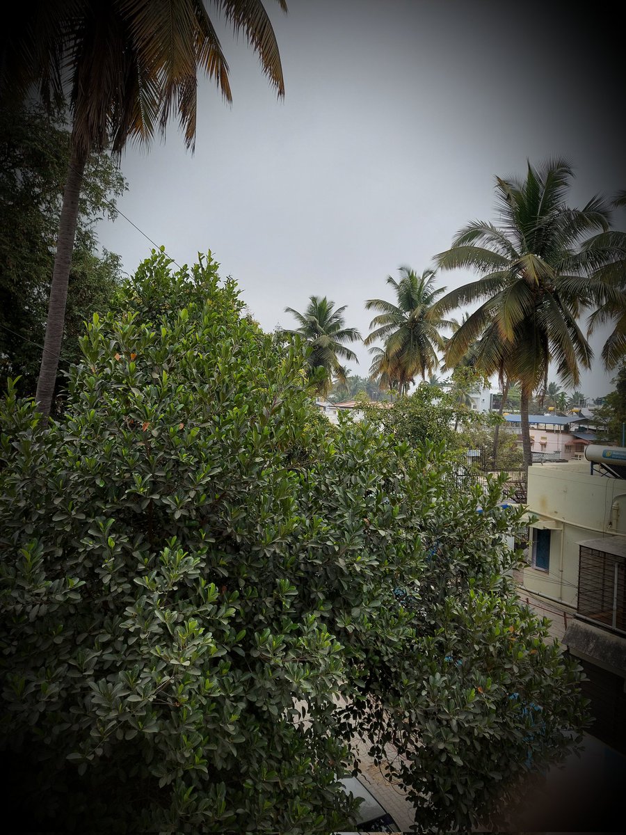 padmapathology1's tweet photo. Cloudy morning
#FeelLikeLazyingAround
#NotPathology
Wish I were a #CoffeeLover or #ChaiDrinker😊 @01sth02 ☕ https://t.co/8nQvsrCZ2g
