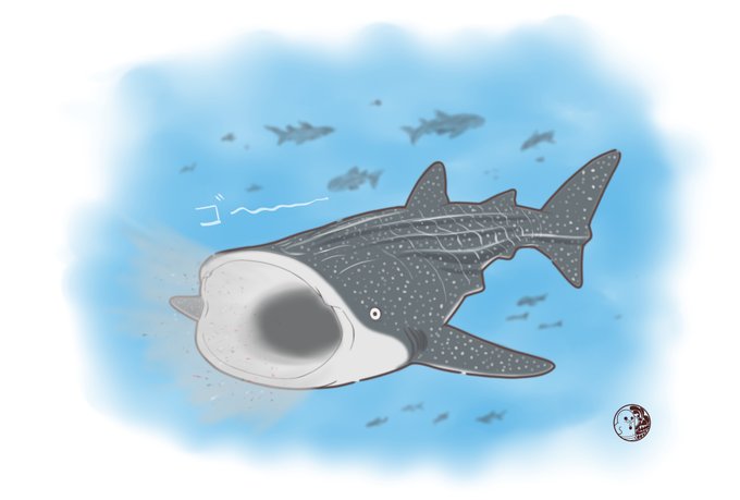 児島のtwitterイラスト検索結果 児島のtwitterイラスト検索結果