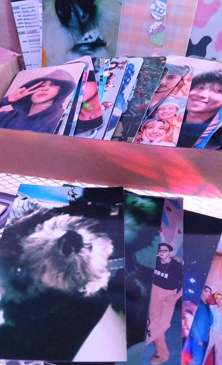 iMeowzKoo's tweet photo. 📦 ..... ꒰ #googzcartmails ꒱

   @st4rcaRtt | #starRfeedbacks

⤷‧₊˚ i alrdy received my order and its so vv pretty ! ang ganda nung quality &amp; shookt ako sa freebies kasi sobrang dami, including pics of my doggos. thank u el for the smooth transaction and++ https://t.co/1JgL0rKHhU
