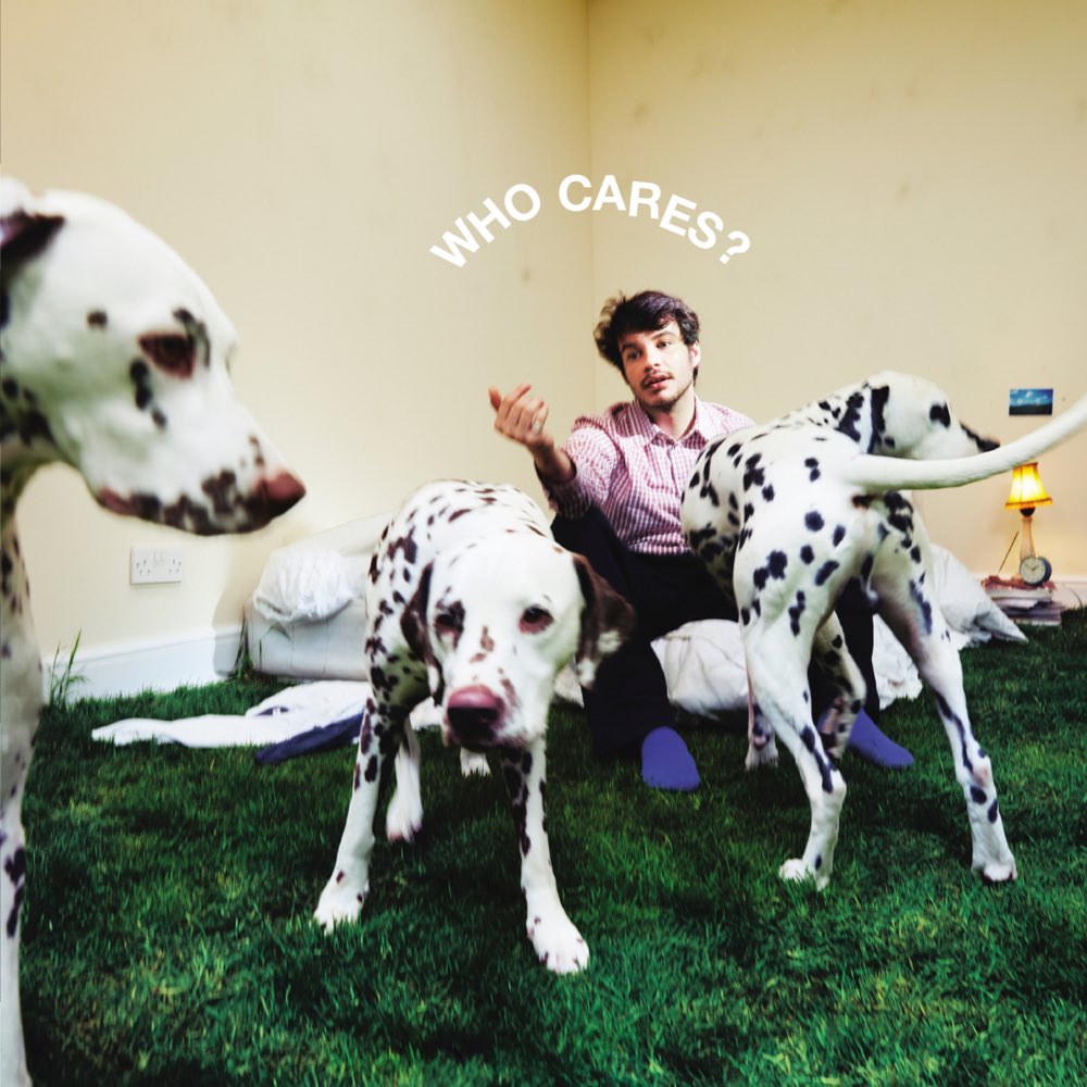 rexocwhocares's tweet photo. the way rex orange county’s discography looks all together >> https://t.co/CQV0QTEAyC