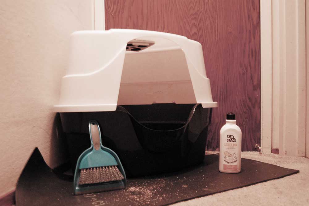CoolKittyCondos's tweet photo. Should You Wash Your Cats Litter Box and if so, How Often? (Answered) http://https://t.co/rNPofOxsul https://t.co/kIn2FruHGJ