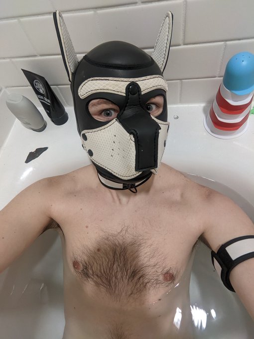 Bath pup 😘 https://t.co/kNLfbFny4U<a href="/tag/nsfw"class="tags"><span>#nsfw</span></a><a href="/tag/chastity"class="tags"><span>#chastity</span></a><a href="/tag/powerexchange"class="tags"><span>#powerexchange</span></a><a href="/tag/pupplay"class="tags"><span>#pupplay</span></a><a href="/tag/topt"class="tags"><span>#topt</span></a>