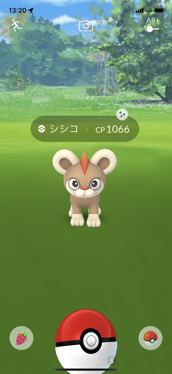 kazuking816's tweet photo. 本日一体目のポケモンが色違い(^^)
いい事ありそうだ！！(ﾟ∀ﾟ)

#ポケモンGO
#色違い https://t.co/RAmGOQucVc