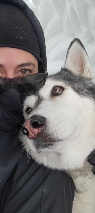 Loving the snow with my snow dogs https://t.co/CXgo2sd99C