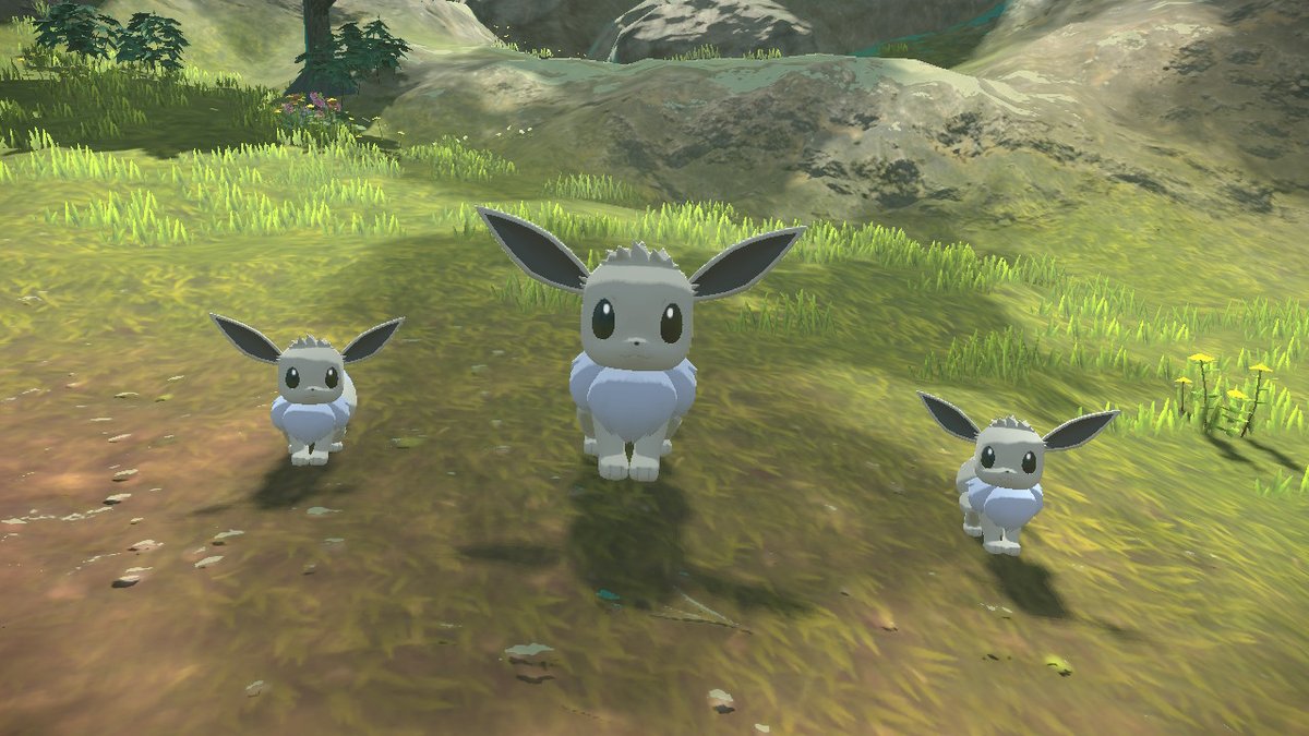 Metaspark4193's tweet photo. #PokemonLegendsArceus #NintendoSwitch https://t.co/fpbA3WTcO3