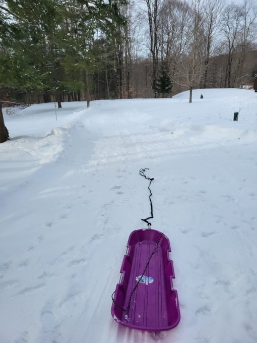 When life gives me snow I train my snow dogs to do what they were ment to do https://t.co/45Kn1NQST0