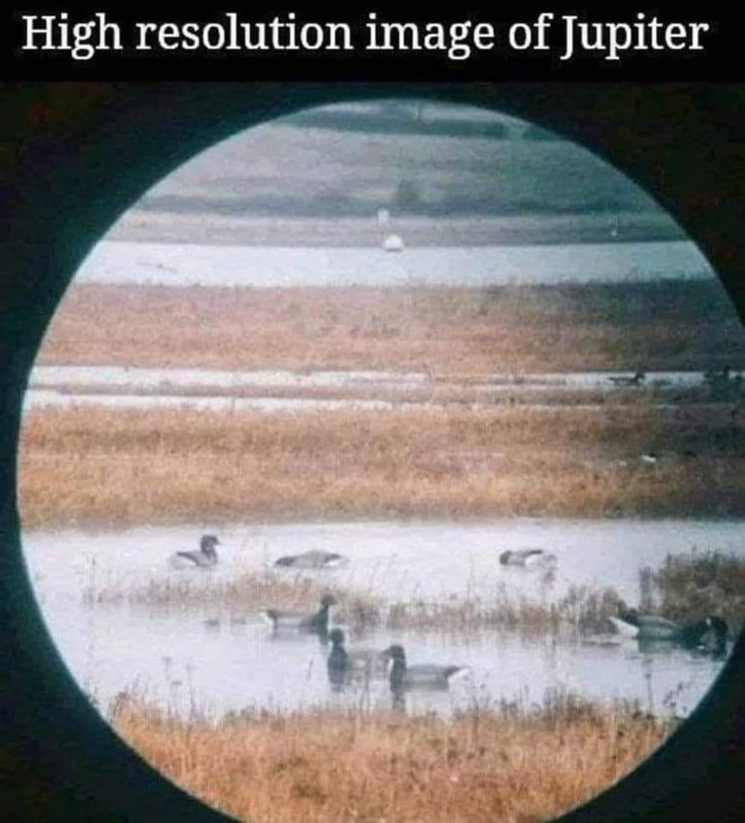 Mental health check from my last four memes huh??