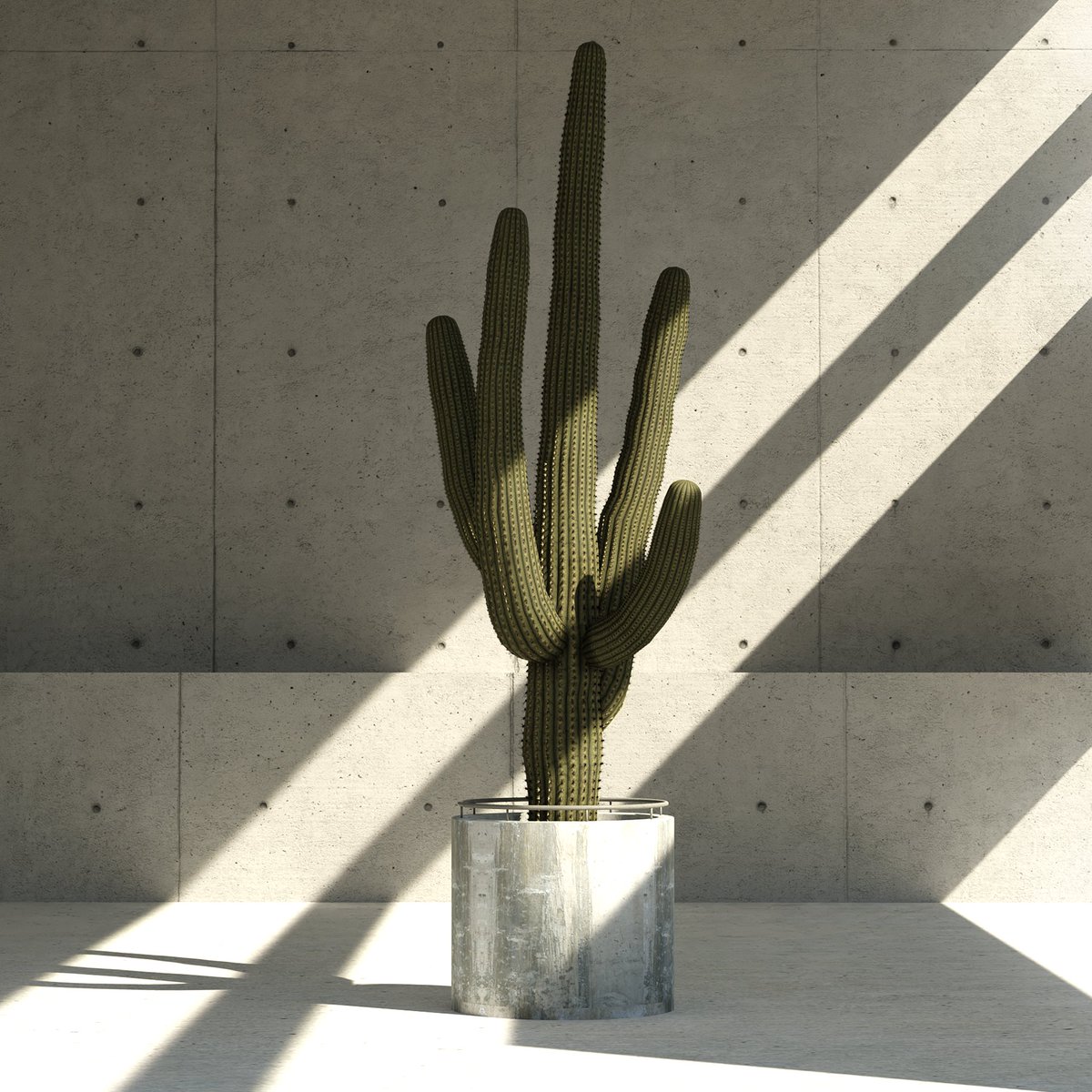 ntolpg's tweet photo. I just listed “Cactus: The Rising” for sale on @withFND! 🌐 

https://t.co/S13SYDFsLK 
#NFT #NFTs #NFTCollection #3D #Blender3d #Brutalism #bauhaus #flowers #shadows #minimalist https://t.co/SbZkvtAanQ