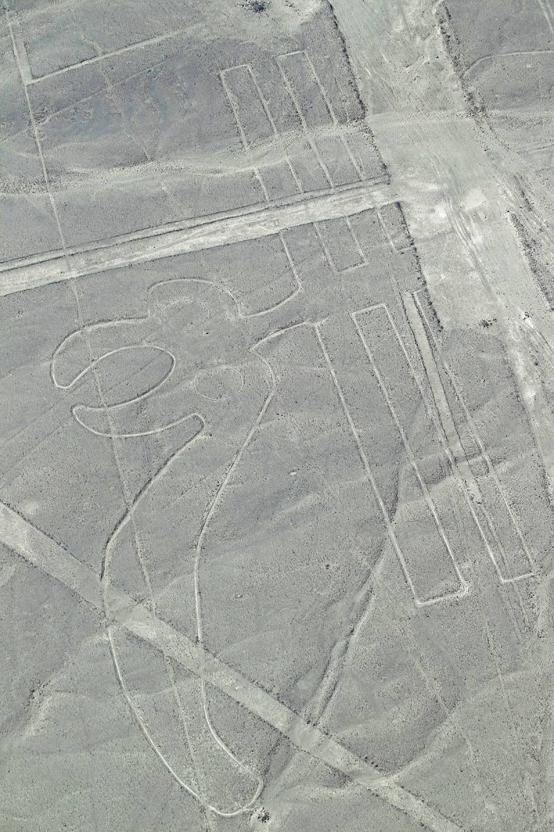 At least seven people have died after a light aircraft crashed during a flight above the Nazca Lines archaeological site in Peru, local police and the national government said on Friday.
#Aircraft
#Nazca
#archaeological
#Peru
#government https://t.co/KGtjZORPQR https://t.co/V2guWus9lb