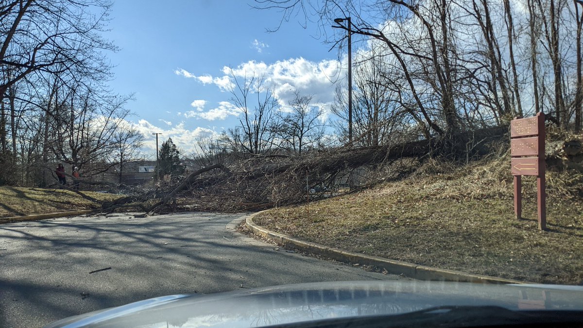 chrisF's tweet photo. Strong winds downed a tree blocking the entrance to #AudreyMoore Rec Center @fairfaxparks. https://t.co/MsHonNO4wo