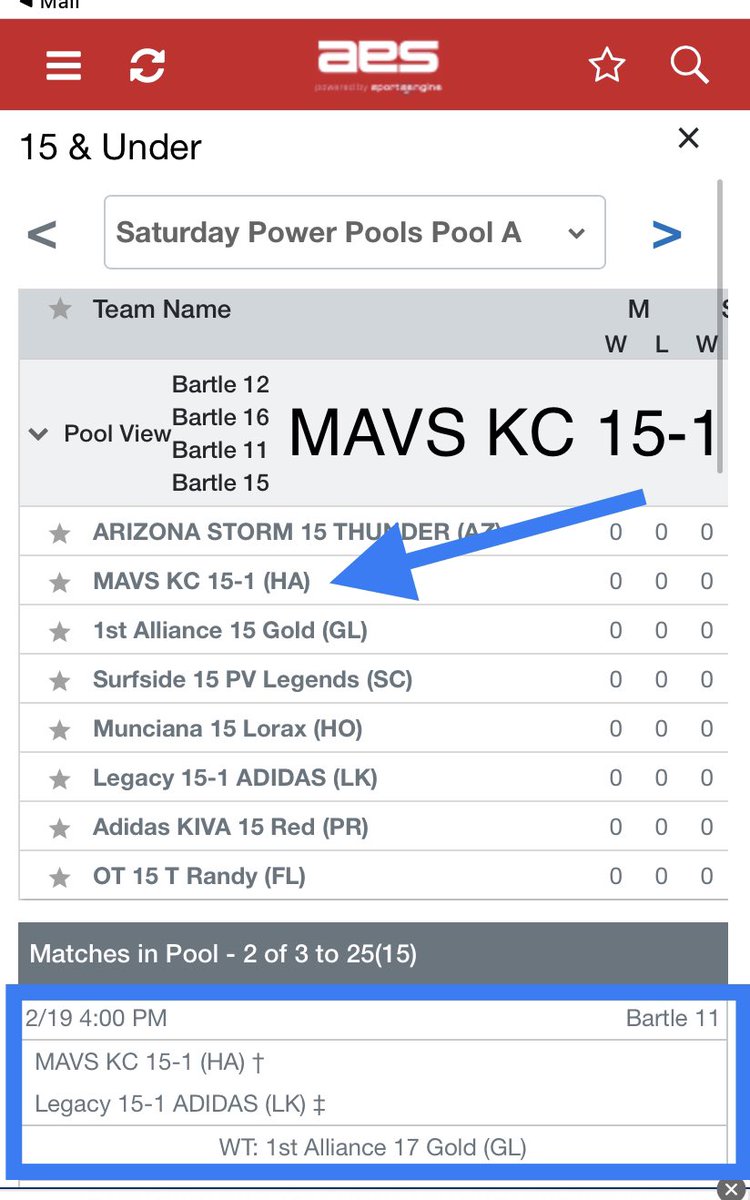 BellaBishop#32 tweet media