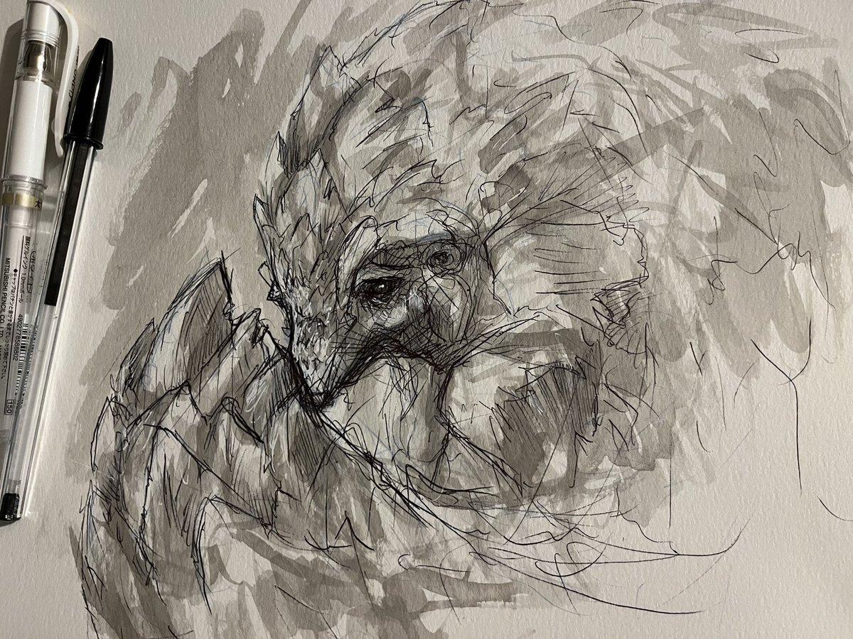 drgnflghtimages's tweet image. A quick ink wash and pen sketch to celebrate World Pangolin Day!

#worldpangolinday #pangolins #pangolinart #wildlife #wildlifeart #wildlifesketch #pen #penandink #inkwash