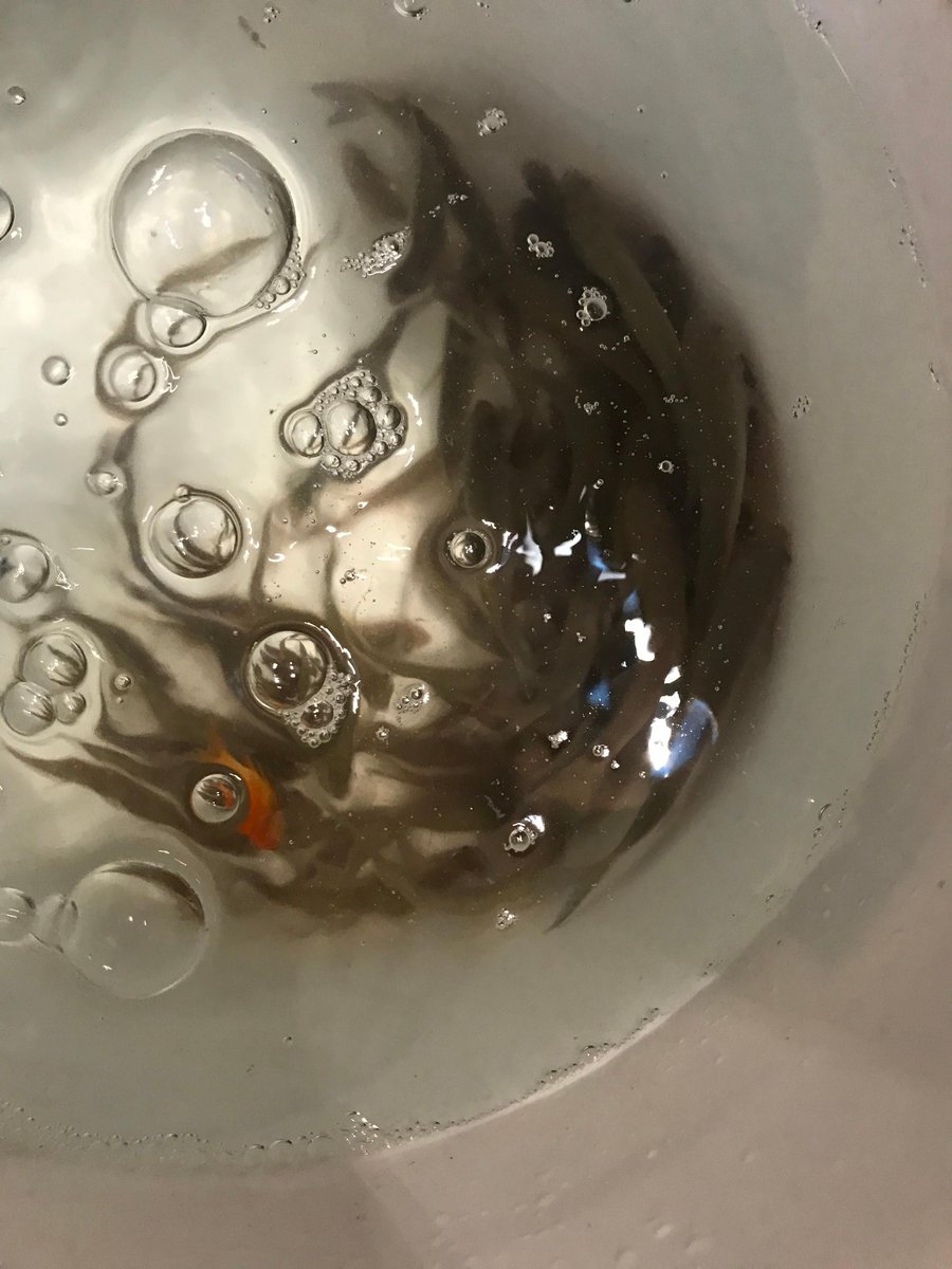 Our Walk for Kids fundraiser is underway!  We are selling fish food with all proceeds going to the RMH of the Inland Empire. Food on sale now.  Main tank feeding at noon.